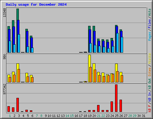 Daily usage for December 2024