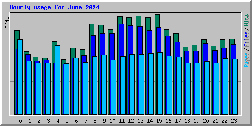 Hourly usage for June 2024