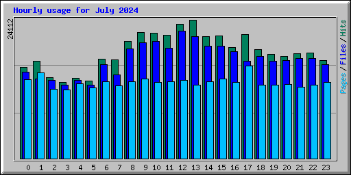 Hourly usage for July 2024