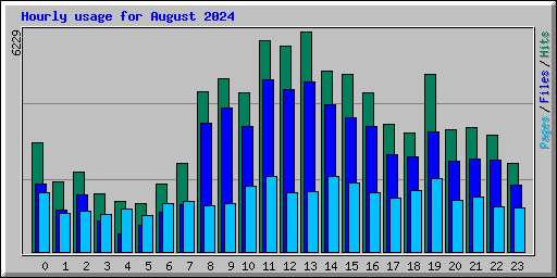 Hourly usage for August 2024