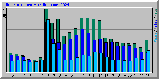 Hourly usage for October 2024