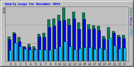 Hourly usage for December 2024